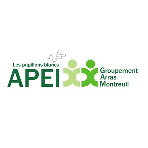 Logo APEI